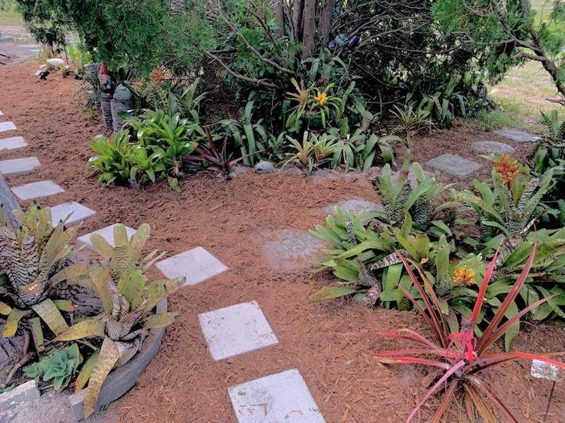 Mobile Home Landscaping Ideas